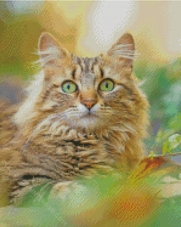 Tabby Persian Cat Diamond Paintings