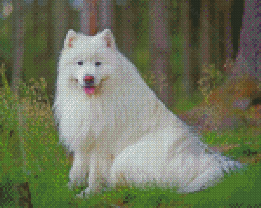White Fluffy Dog In Forest Diamond Paintings