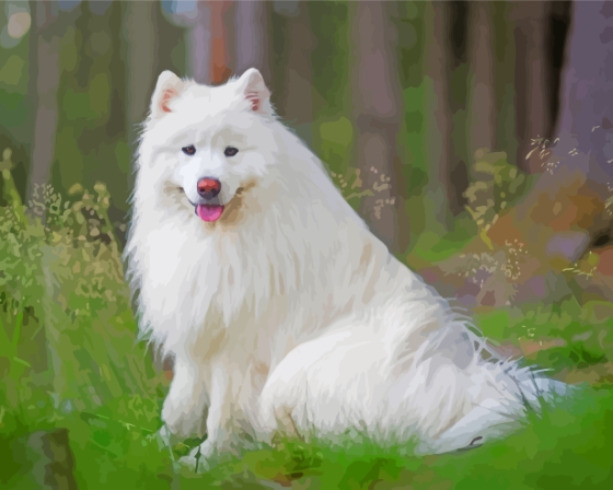 White Fluffy Dog In Forest Diamond Paintings