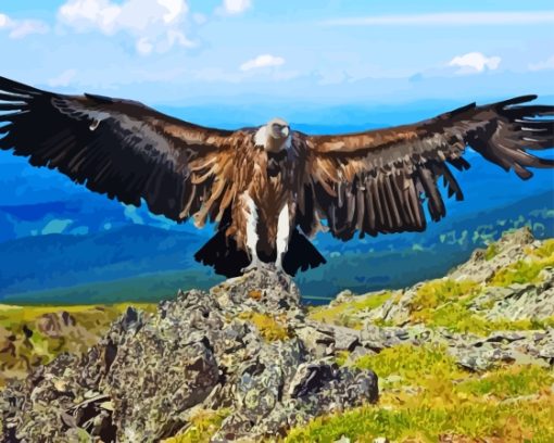 Andean Condor Bird Wings Diamond Paintings