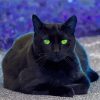 Black Cat With Green Eyes Diamond Paintings
