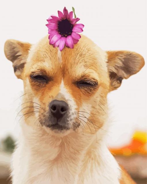 Chihuahua With Flower Diamond Paintings