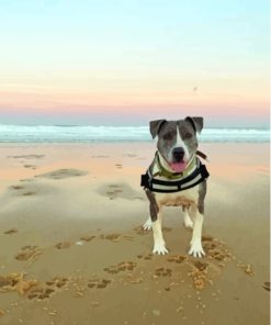 Dog In The Beach Diamond Paintings