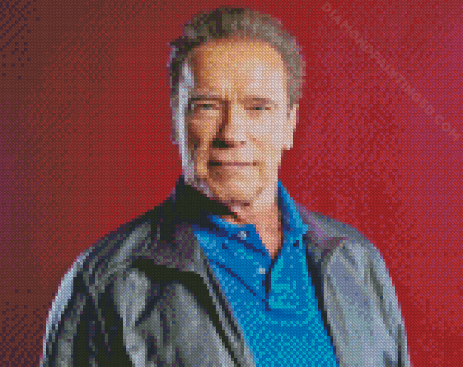 Former Governor Arnold Schwarzenegger Diamond Paintings