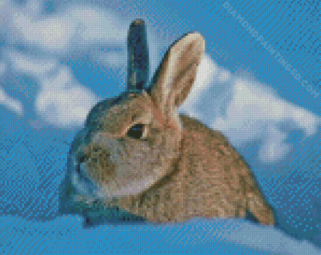 Grey Bunny In Snow Diamond Paintings