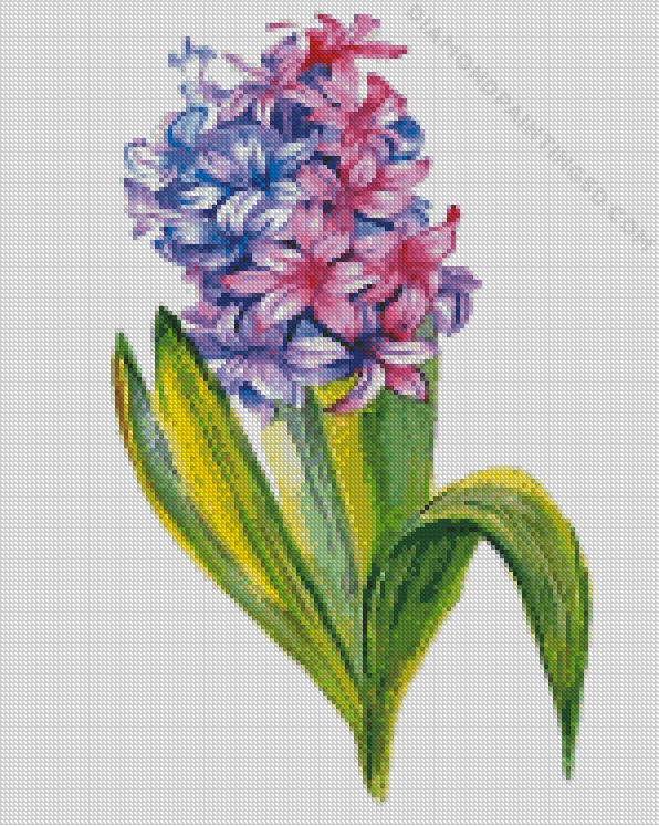 Hyacinth Art Diamond Paintings