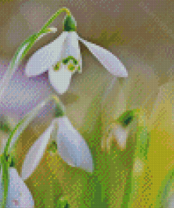 Plant Snowdrops Diamond Paintings