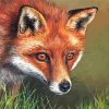 Red Fox Art Diamond Paintings