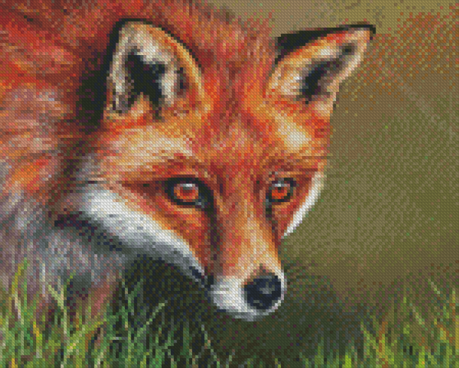 Red Fox Art Diamond Paintings