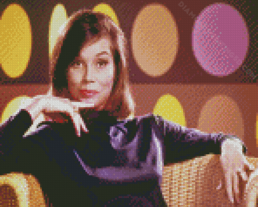 The Mary Tyler Moore Show Diamond Paintings