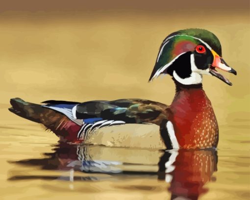 Wood Duck Diamond Paintings