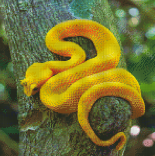 Yellow Snake Viper On Tree Diamond Paintings