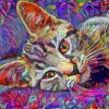 Abstract Tabby Kitten Diamond Paintings