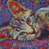 Abstract Tabby Kitten Diamond Paintings