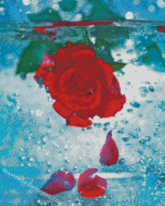 Aesthetic Rose Water Diamond Paintings