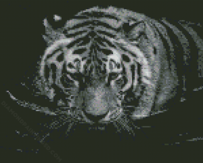 Black And White Tiger In The Water Diamond Paintings