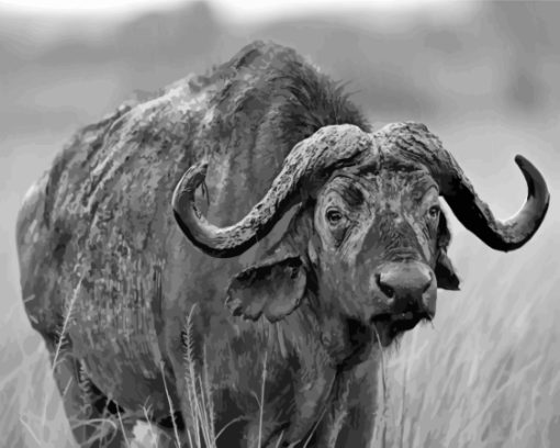 Black And White Buffalo Diamond Paintings