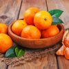 Citrus Orange Diamond Paintings