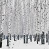 Snowy Winter Aspen Trees Diamond Paintings