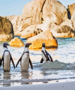 The Penguins On The Beach Diamond Painting