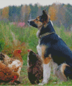 Chicken And Dog Diamond Painting