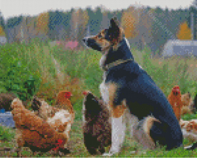Chicken And Dog Diamond Painting