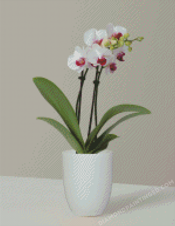 White Orchid Vase Diamond Painting