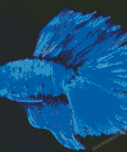 Blue Betta Fish Diamond Painting