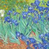 Irises Vincent Van Gogh Diamond Painting