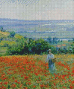 Woman In Poppy Field Diamond Painting