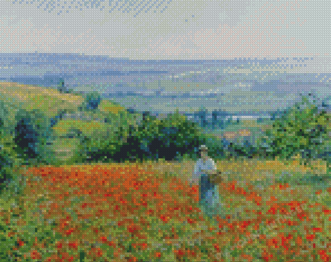 Woman In Poppy Field Diamond Painting