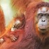 Aesthetic Orangutan Diamond Painting