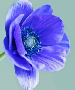 Blue Anemone Diamond Painting
