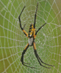 Garden Spider Diamond Painting