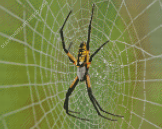 Garden Spider Diamond Painting