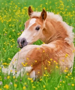 Haflinger Horse Foal Resting Diamond Painting