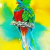 The Quetzal Bird Diamond Painting