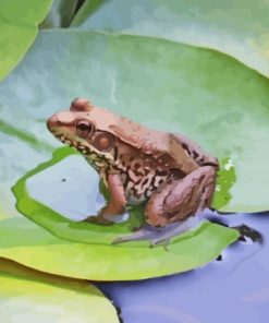 Frog On Lily Pond Diamond Painting