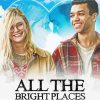 All The Bright Places Poster Diamond Painting