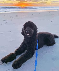 Black Goldendoodle At The Beach Diamond Painting