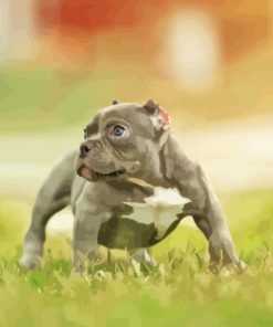 Grey American Bully Puppy Dog Diamond Painting