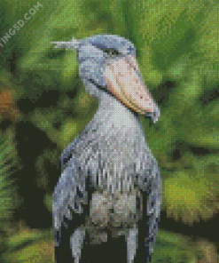 Shoebill Stork Animal Diamond Painting
