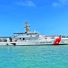 US Coast Guard Armed Force Ship Diamond Painting