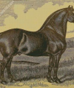 Vintage Black Percheron Horse Diamond Painting