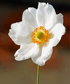White Anemone Flower Diamond Painting