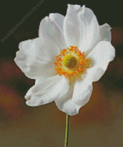 White Anemone Flower Diamond Painting