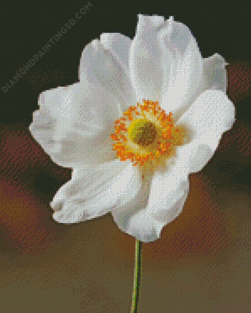 White Anemone Flower Diamond Painting