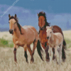 Wild Mustangs Family Diamond Painting
