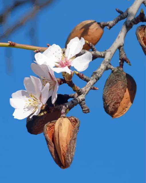 Almond Tree Flower Diamond Painting