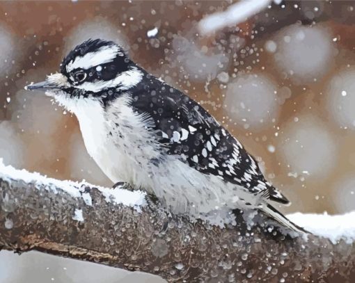 Downy Woodpecker In Snow Diamond Painting
